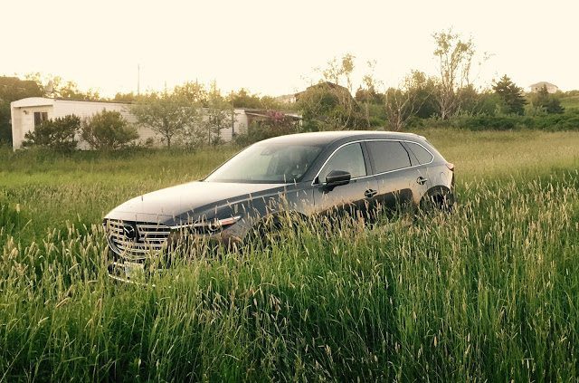 2016 Mazda CX-9 Signature tall grass