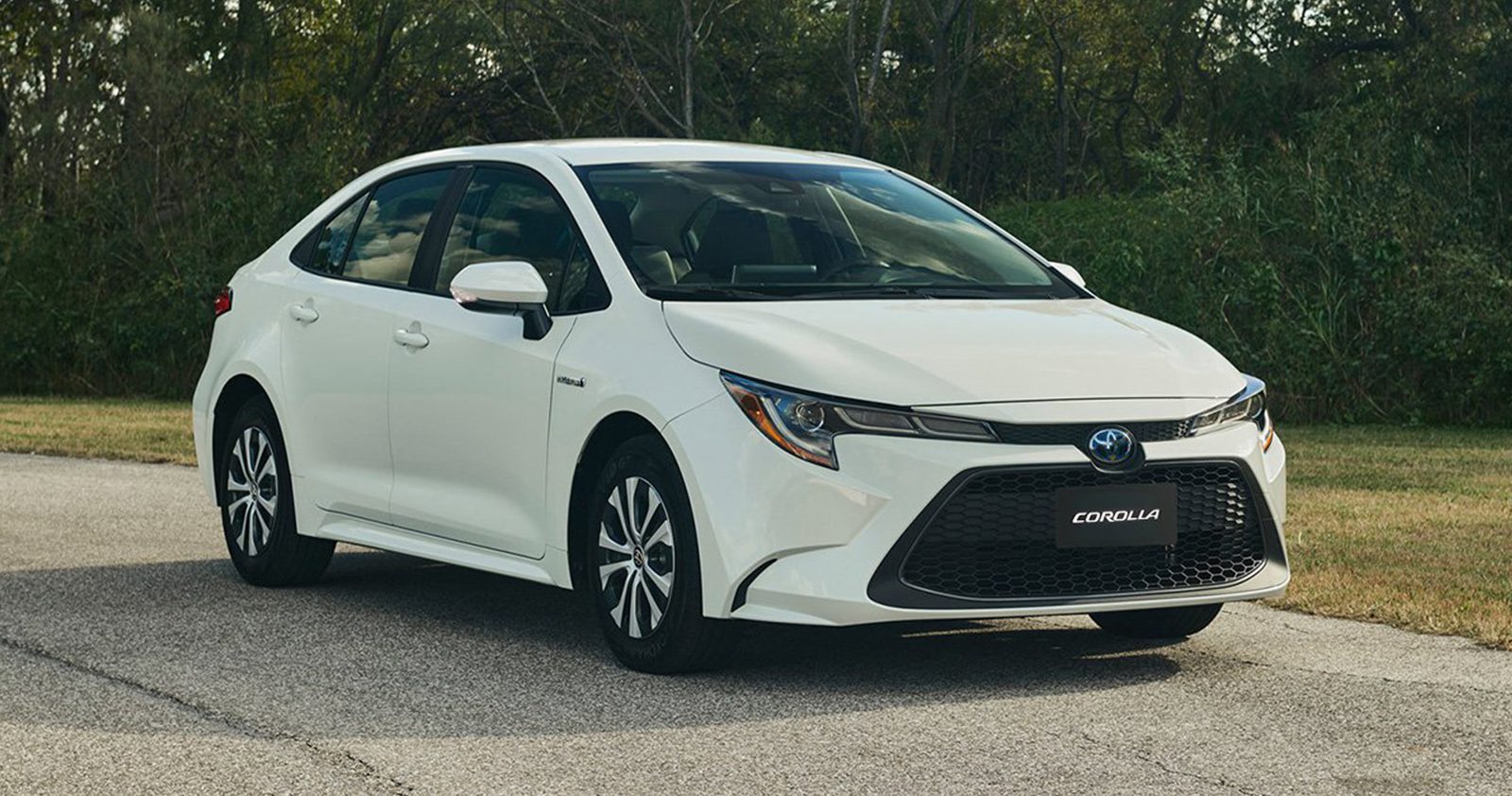 2022 white Toyota Corolla Hybrid with forest background