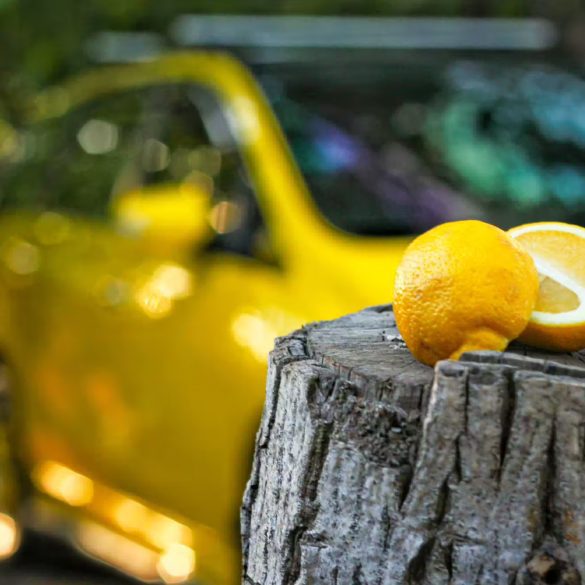 Lemon on tree trunk
