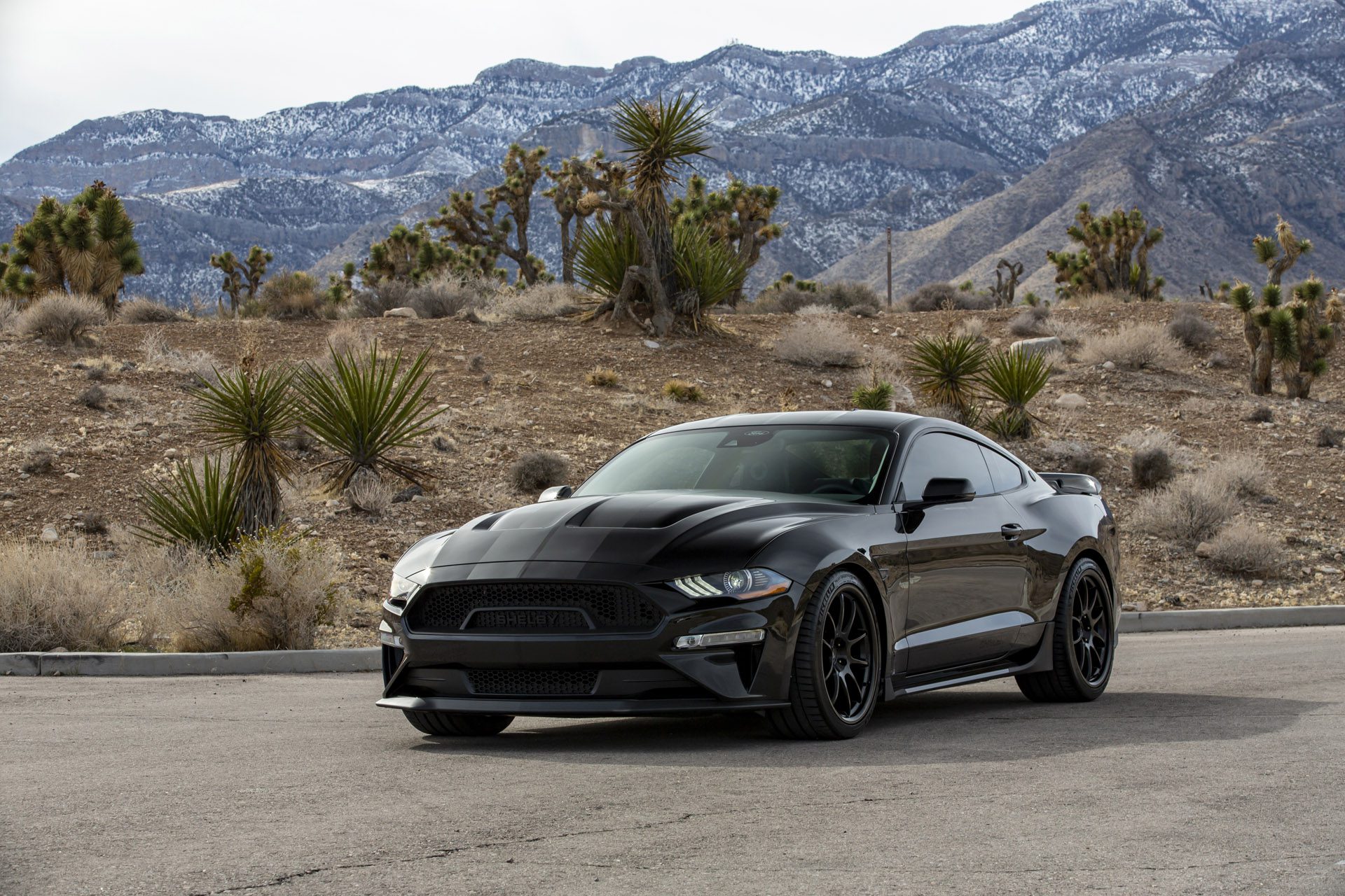 Three-quarter front view of a 2023 black Caroll Shelby Centennial Edition