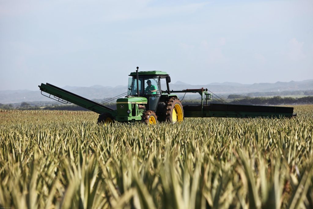 Farm tractor in field