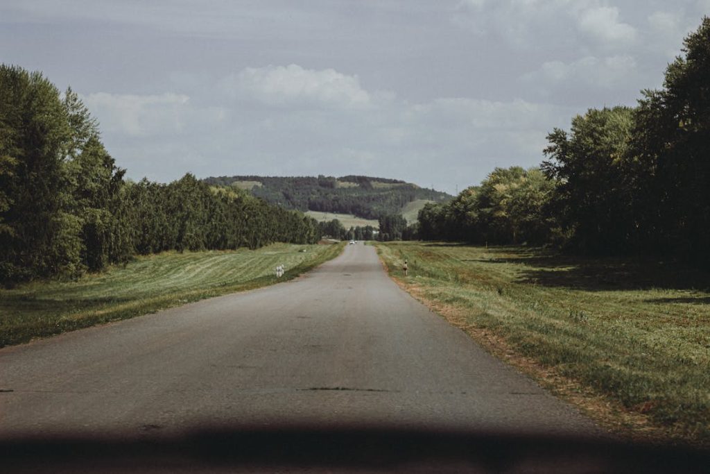 rural back road pexels